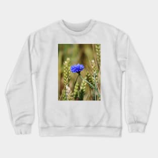 Lonely Cornflower Crewneck Sweatshirt